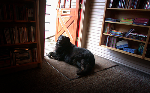 searching4laurapalmer065.jpg